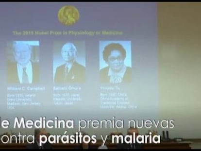 Nobel premia tratamentos contra a malária e outros parasitas