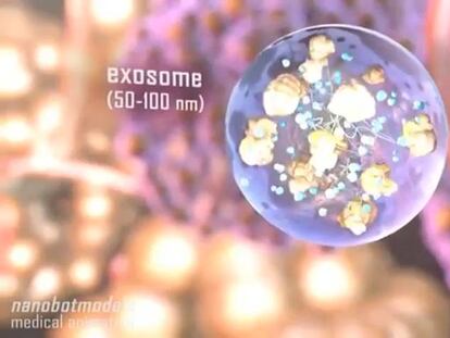 Unas proteínas determinan en qué órgano habrá una metástasis