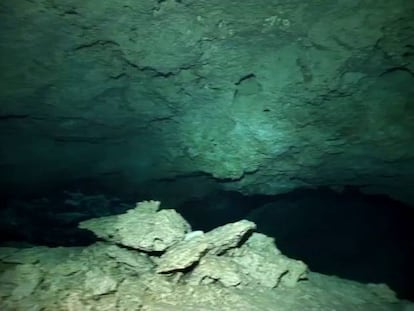 El laberinto subterráneo de los cenotes