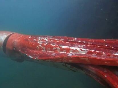 30/12/2015: Un día en un minuto