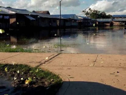 La selva se volvió a teñir de negro