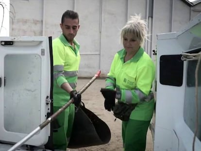 Furgonetas que hacen
felices a los jardines