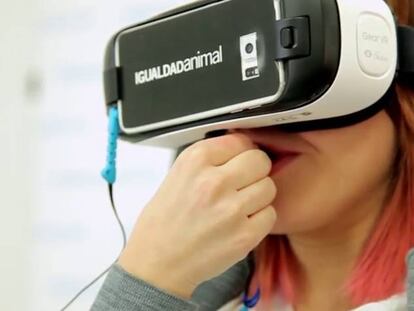 La actriz Angy Fernández llora al ver imágenes en realidad virtual de un matadero.