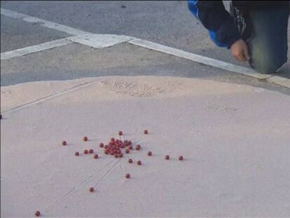 ¡Que comience el Campeonato Mundial de Canicas!