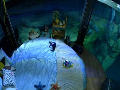 AirBnb y el acuario de París invitan a dormir gratis entre tiburones