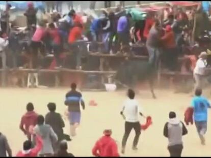 Un encierro con toros provoca múltiples heridos en Perú