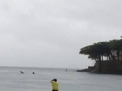 Un tiburón ballena se deja ver por las playas olímpicas de Brasil