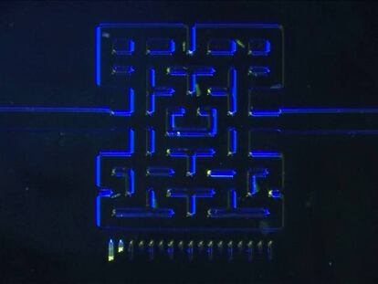 Un ‘pac-man’ milimétrico ayuda a estudiar cómo se comportan los microbios depredadores