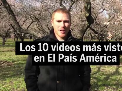 Los 10 vídeos más vistos en la web de EL PAÍS