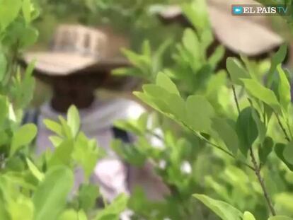 “Trump se puede meter con Colombia”