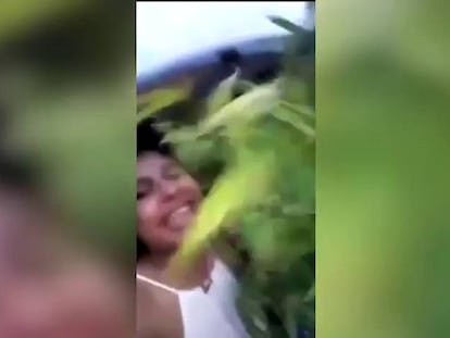 Así celebran dos policías argentinas la incautación de una planta de cannabis