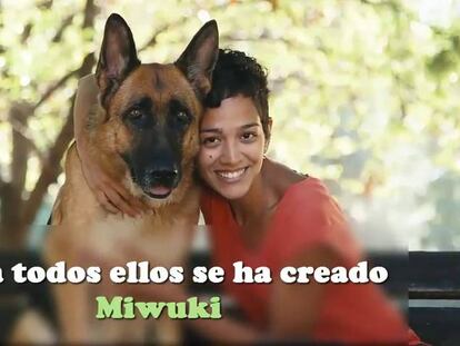 Conocí a mi perro por Internet