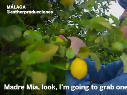 How an 80-year-old Spanish grandfather became a YouTube star