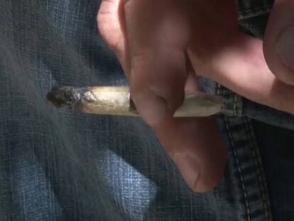 Uruguay empieza a registrar consumidores de marihuana legal