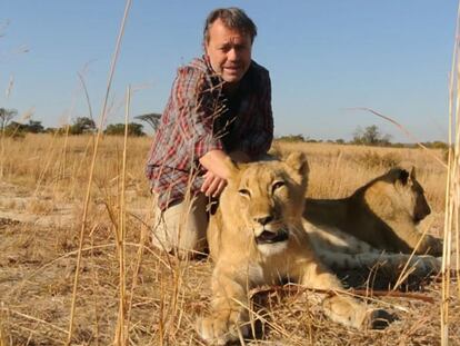 Paseando con leones