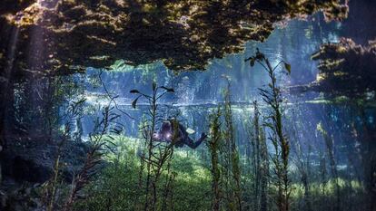 Una de las zonas de buceo en Bonito, al oeste de Brasil.