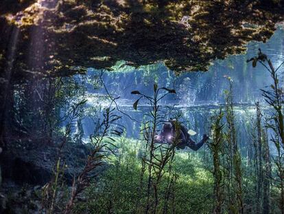 Una de las zonas de buceo en Bonito, al oeste de Brasil.