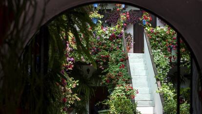 El patio del número 44 de la calle de San Basilio (Córdoba), el pasado 26 de abril.