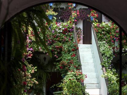 El patio del número 44 de la calle de San Basilio (Córdoba), el pasado 26 de abril.