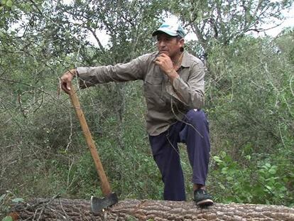 Un asado con carbón ecológico: ¿receta para proteger los bosques?