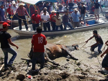 A festa popular mexicana que maltrata os touros velhos