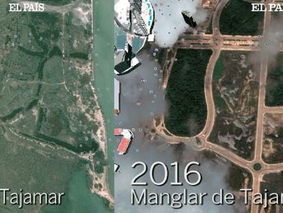 El portavoz de Greenpeace para el manglar, Miguel Rivas, explica la situación actual del humedal.