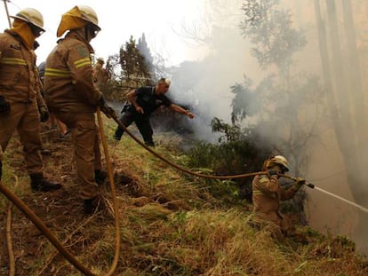 Policía y bomberos intentan extinguir un fuego cerca de Funchal (Madeira).