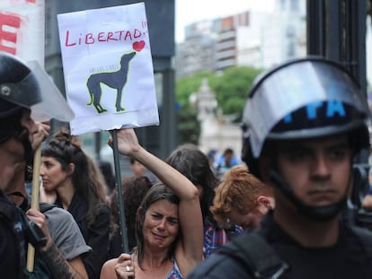 La policía flanquea el paso entre las proteccionistas y los galgueros.