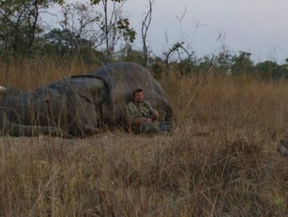 Theunis Botha, en una imagen de archivo de su empresa de safaris.