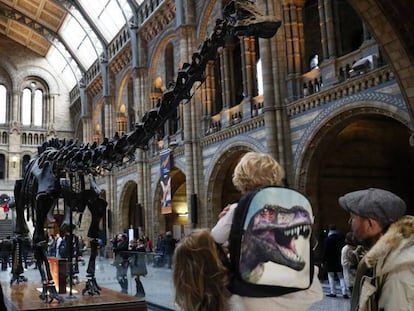 Varios visitantes, el pasado enero en el Museo de Historia Natural de Londres.