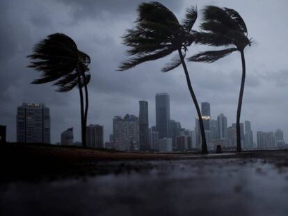 Miami, bajo los primeros vientos del huracán.