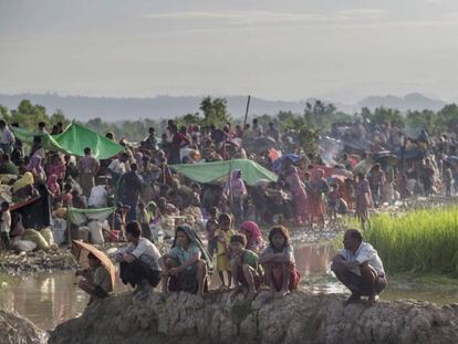 Miles de rohingya esperan, tras cruzar la frontera entre Myanmar y Bangladés, a que las autoridades les dejen ir a los campos de refugiados, este martes. Dar Yasin (AP).