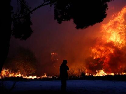 Al menos 79 muertos y 187 heridos por varios incendios en Grecia