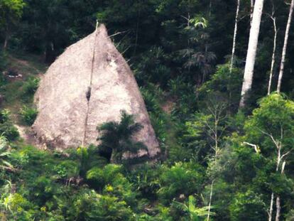 Descubren la presencia de una tribu indígena aislada en el Amazonas en Brasil