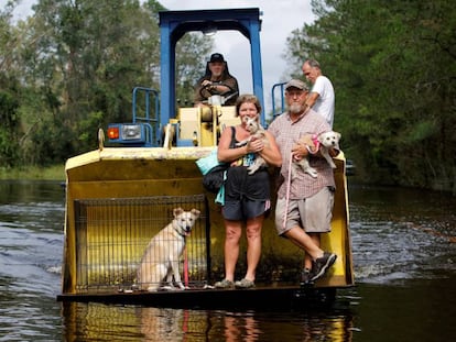Un hombre evacua a su hermano y a su cuñada junto a sus mascotas tras el desbordamiento del río Cape Fear en Burgaw, Carolina del Norte,