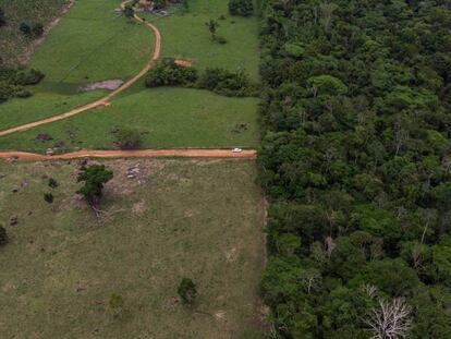 Límite entre terrenos dedicados a labores agrícolas y la Amazonia, en el Estado de Rondonia (Brasil) / VÍDEO: ATLAS