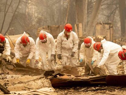 Busca de restos humanos entre os escombros de Paradise, Califórnia, na quarta-feira.