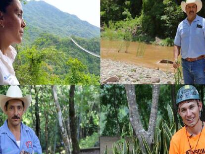 “Antes talábamos, ahora reforestamos”
