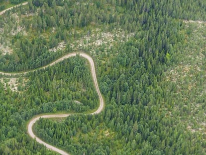 Vista aérea de una carretera en una zona forestal de Värmland (Suecia).