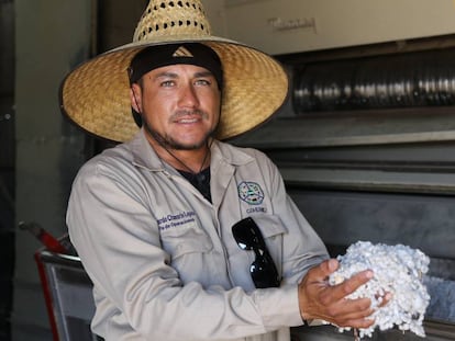 Trabajador en fábrica de algodón en México.