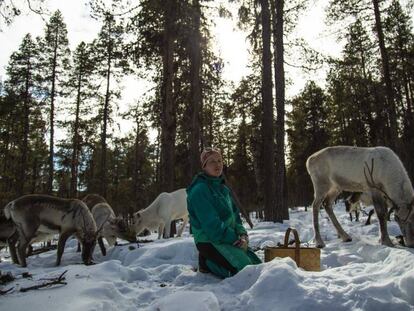 Anne Karhu-Angeli, pastora de renos de la cooperativa tradicional de Mudsjävri, en Inari, al norte de Laponia (Finlandia), el 10 de abril de 2019.