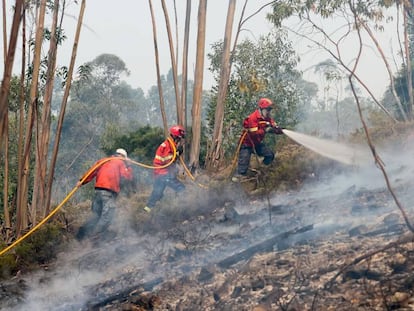 Bomberos trabajando en la extinción de un fuego en Maçao, en el centro de Portugal. En vídeo, continúan los incendios.