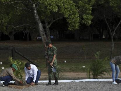 Los presidentes Juan Orlando Hernandez y Andrés Manuel López Obrador plantan árboles en Minatitlan, el sábado.