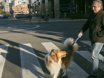 Fernández pasea con su perro antes de emitir su voto en las primarias del 11 de agosto.