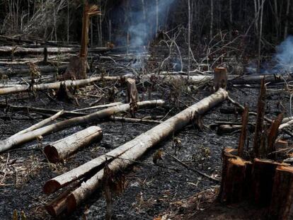 Región de la Amazonia brasileña tras los incendios.