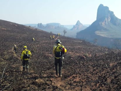 Una cuadrilla de bomberos trabaja sobre el terreno en la provincia boliviana de Santa Cruz