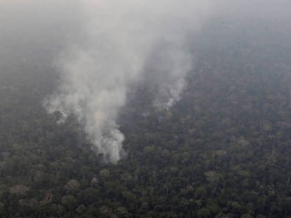 Una columna de humo emana de la Amazonia brasileña. En vídeo, preocupación mundial por el incendio de la selva amazónica.