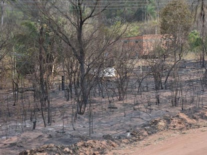 Uno de los lugares afectados por los incendios en Bolivia, este lunes. En vídeo, el incendio visto desde el espacio.