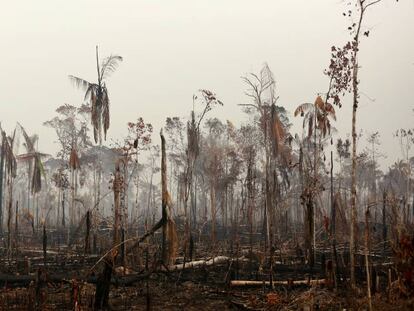 Una zona quemada del estado de Acre. En vídeo, así avanzan sin control los incendios en el bosque del Amazonas desde el espacio.