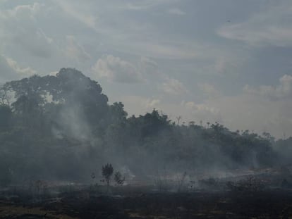 En foto, el humo tras el incendio este martes en el Amazonia brasileña cerca de la reserva indígena Bau. En vídeo, Jair Bolsonaro explica que su problema es Macron, no el G7.
